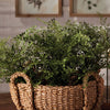 Maidenhair Fern Drop-In - 13"