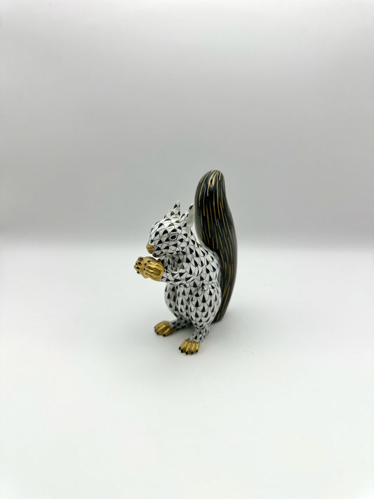 Squirrel Black