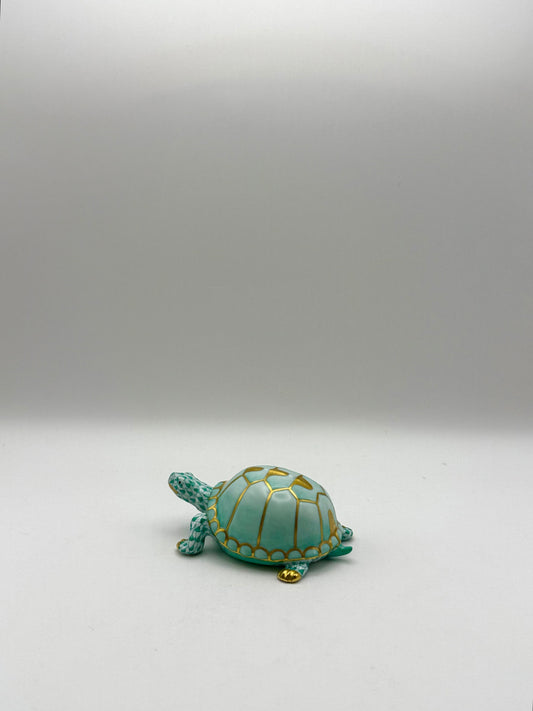 Box Turtle Green