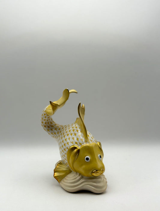 Koi Fish Butterscotch