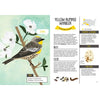 A Kids Guide To Backyard Birds - Book