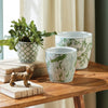 Imperial Flower Pots - Green/White