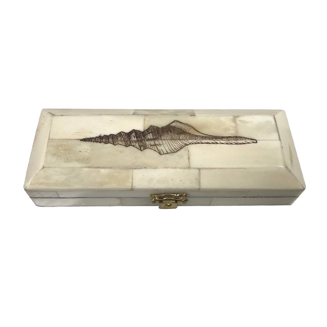 Whelk Scrimshaw Bone Postage Stamp Box - 6.5" L