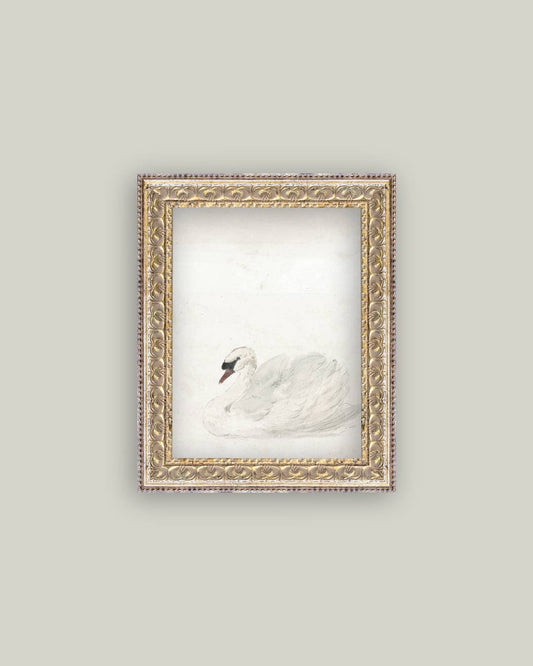 Swan Framed Art - 8x10
