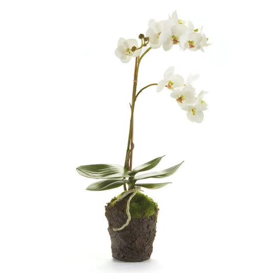 Orchid Drop-In 17"-White