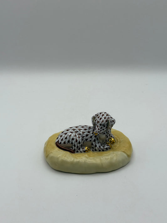 Chocolate Dachshund in bed