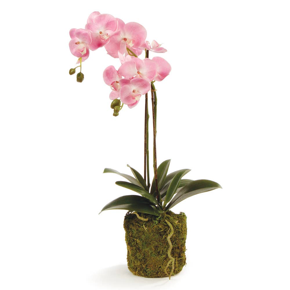 Pink Orchid Drop In 23"
