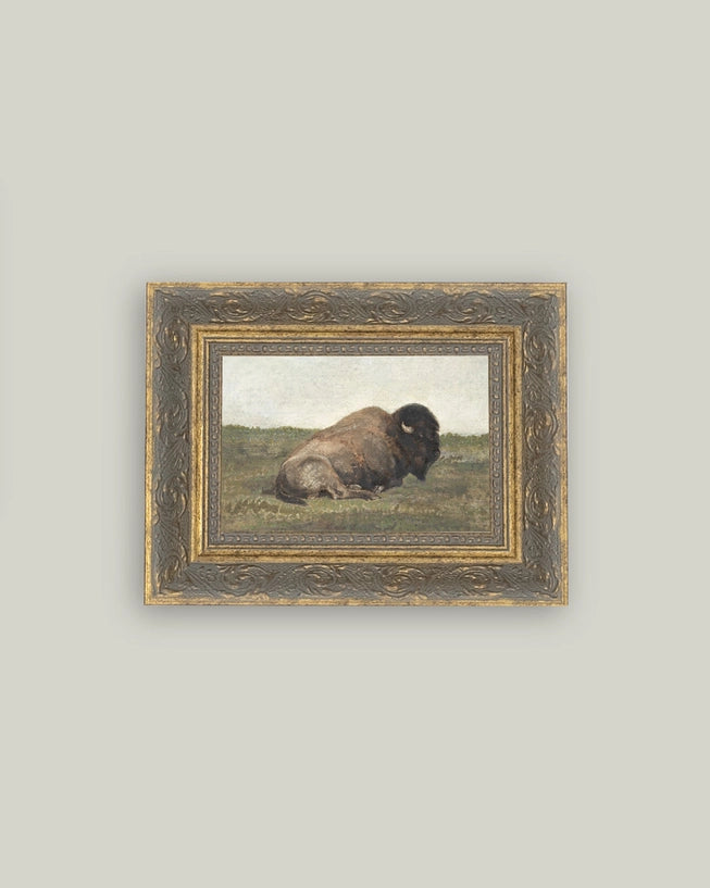 Resting Bison 7x5