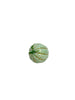 Lime Squash