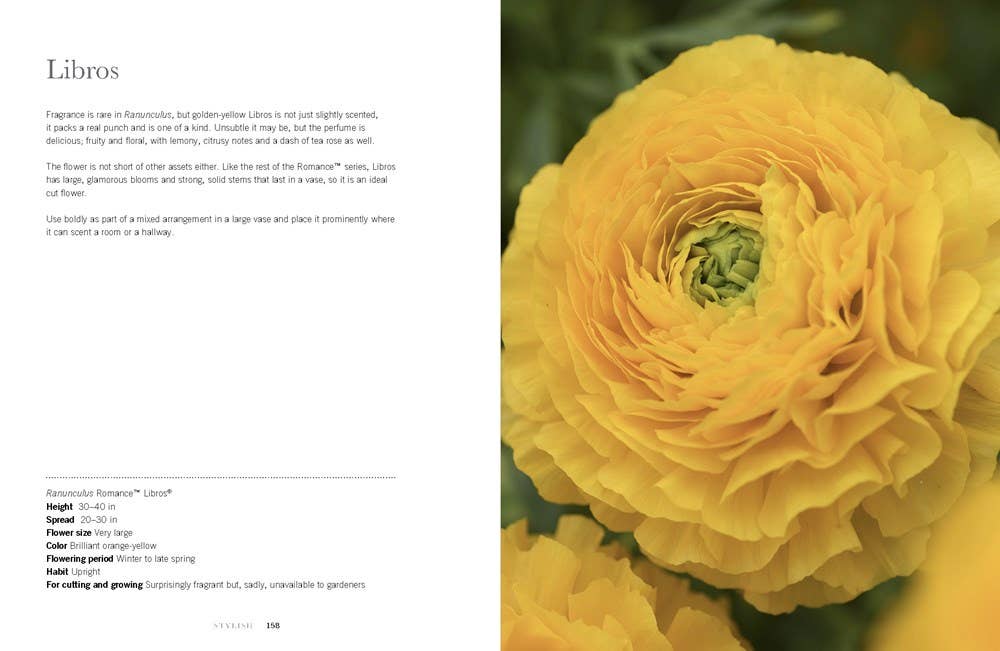 Ranunculus: Beautiful Varieties for Home and Garden - Book