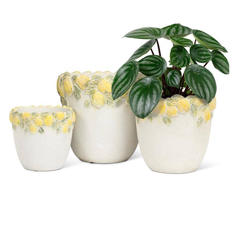 Medium Lemon Edge Planter-7.5"H