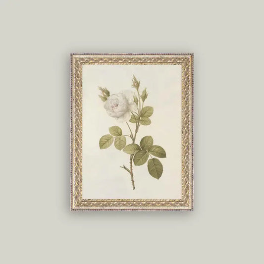 Misty Rose Art - 12x16