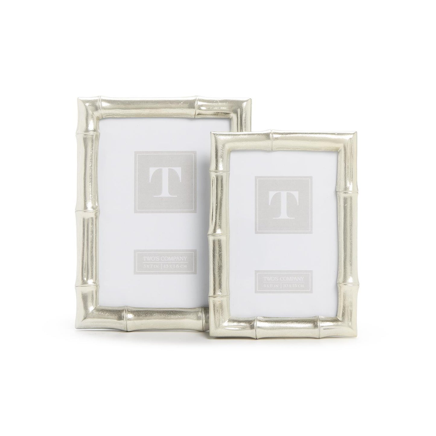 Silver Faux Bamboo Frame