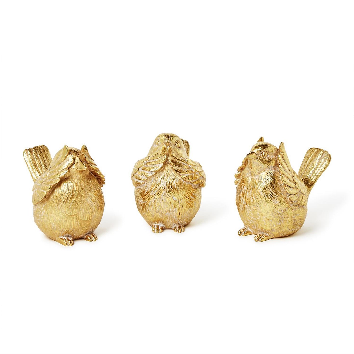 See,Speak,Hear No Evil - Birds