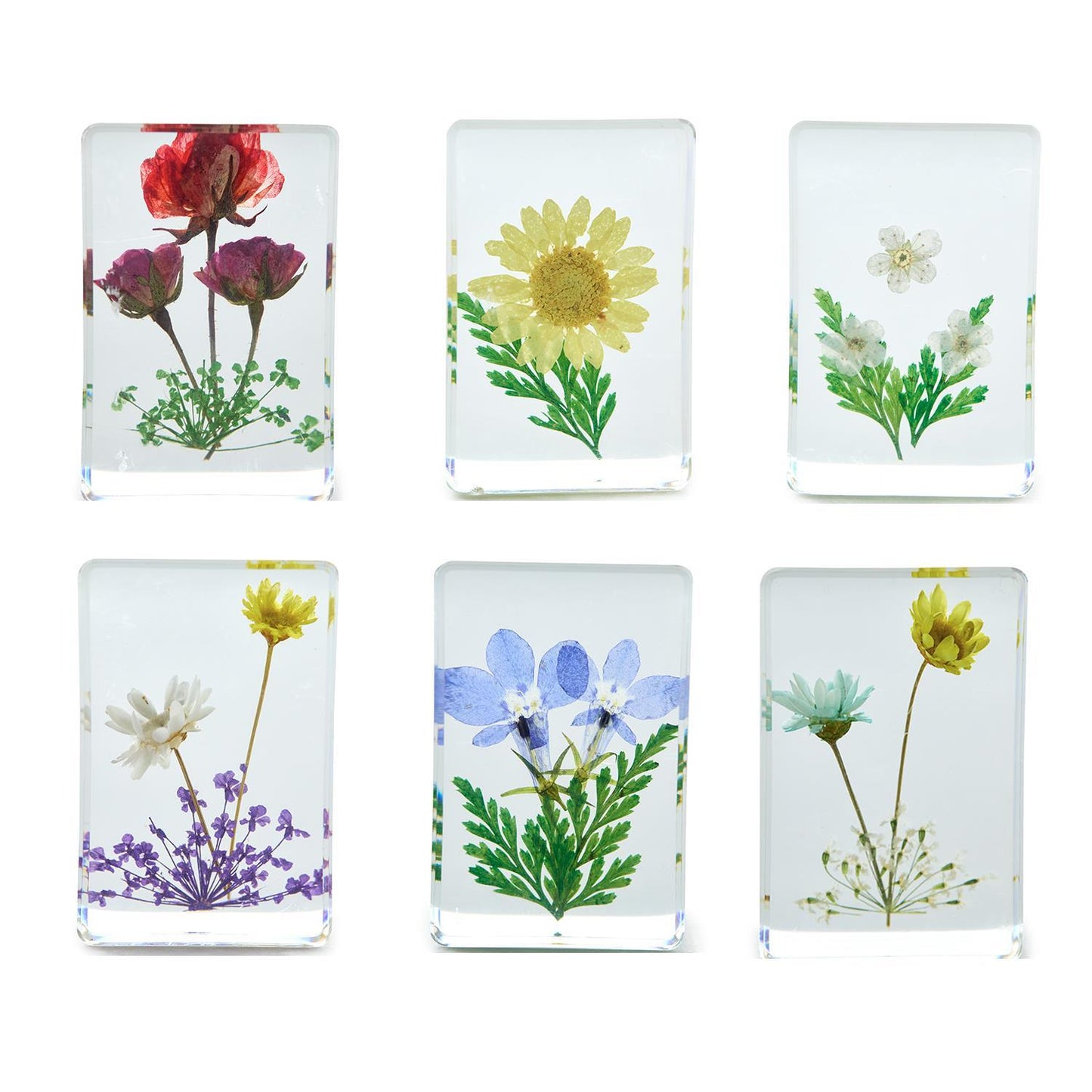 Pressed Wildflower