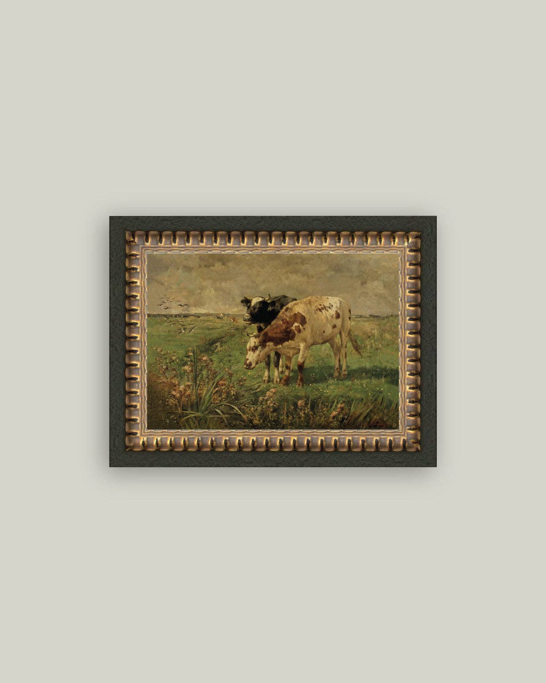 Black and Brown Cows 7x5