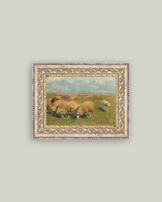 Sheep with Sheep Dog 7x5