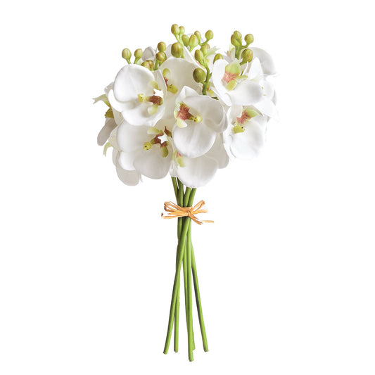 White Orchid Stems 11.5", S/6