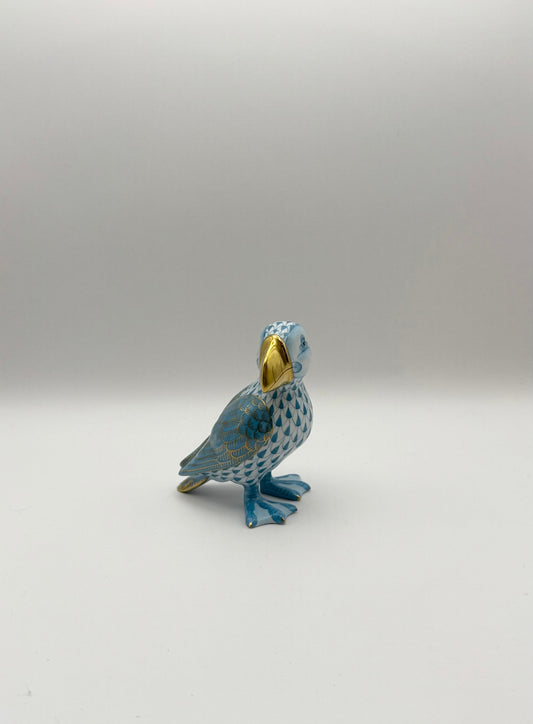 Turquoise Puffin