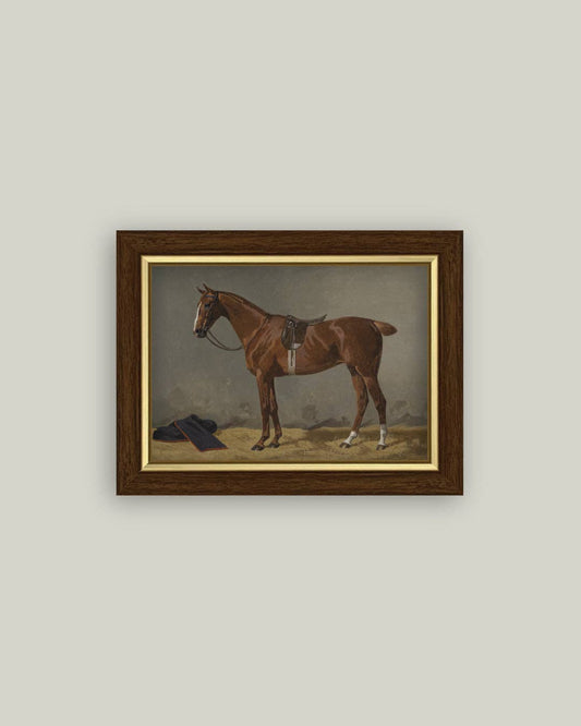 Saddled Brown Horse: 6x4