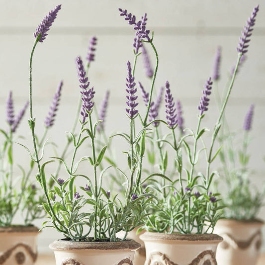 French Lavender Drop-In - 13"
