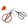 Medium Flower Stem Shears: Red