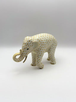 Elephant Walking Butterscotch