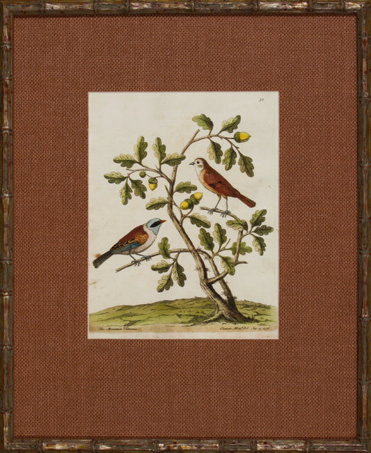 The Perch
