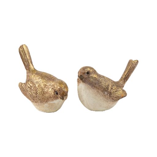 Pair of Woodland Birds