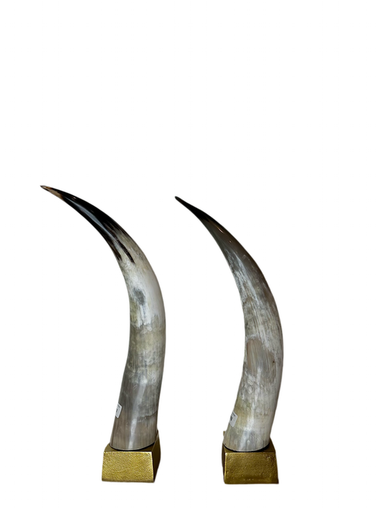 African Horn on Base