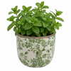 Round Ceramic Planter w/ Green Floral Motif
