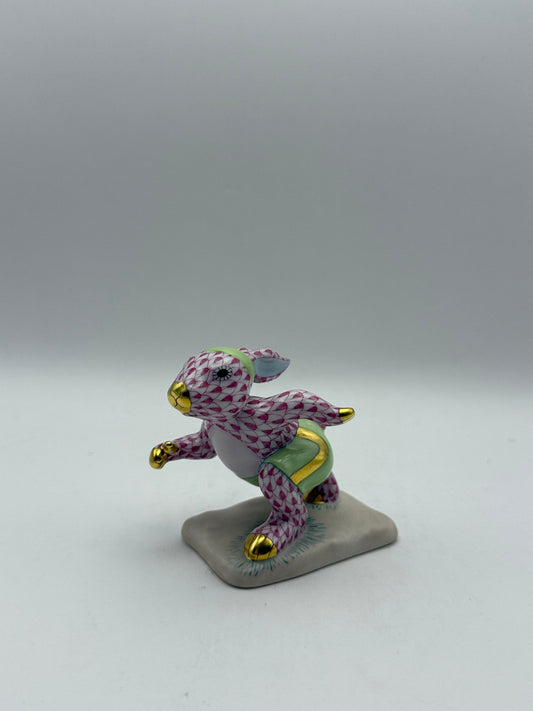 Raspberry Running Rabbit