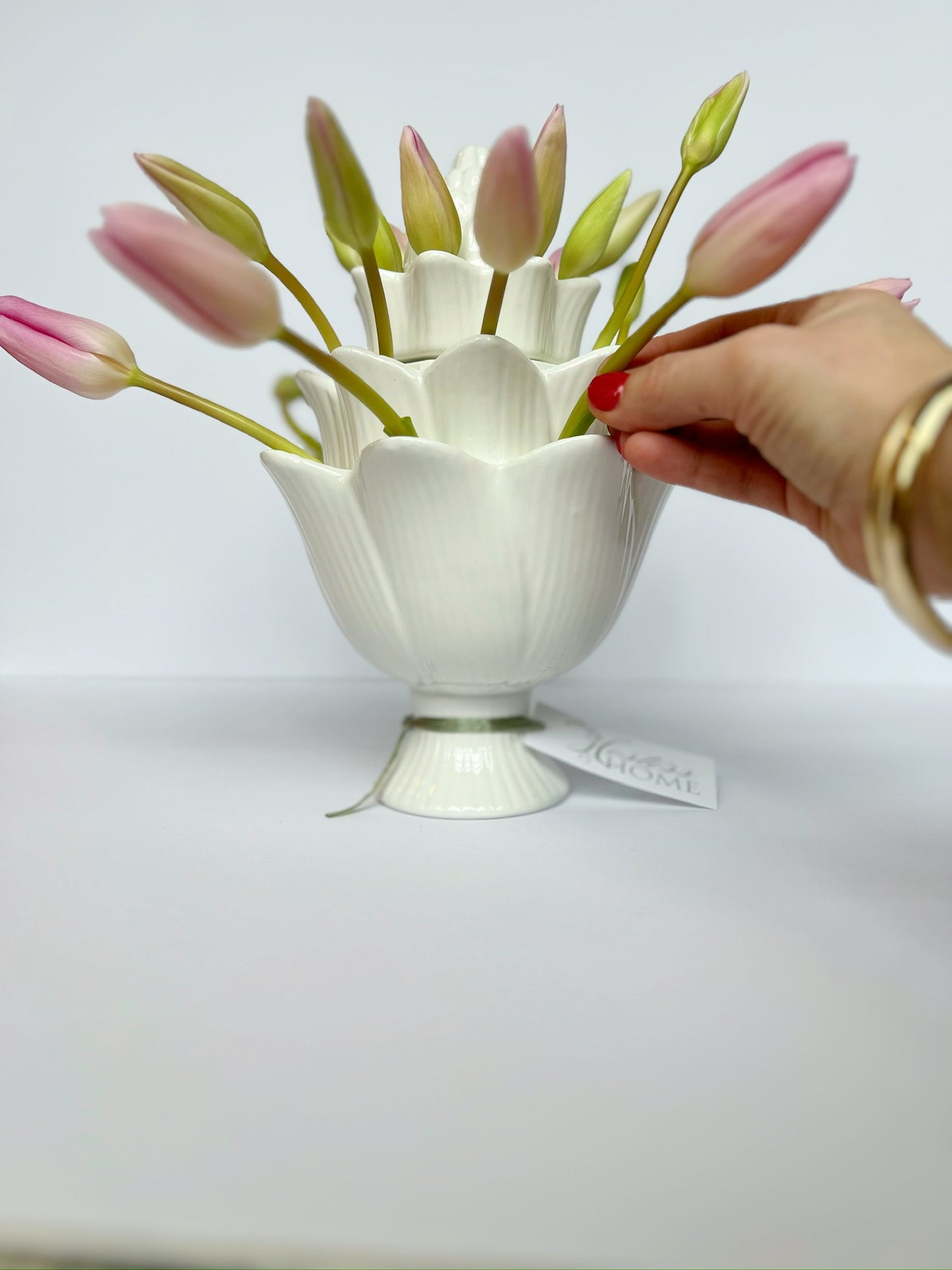 Tulipiere Artichoke White