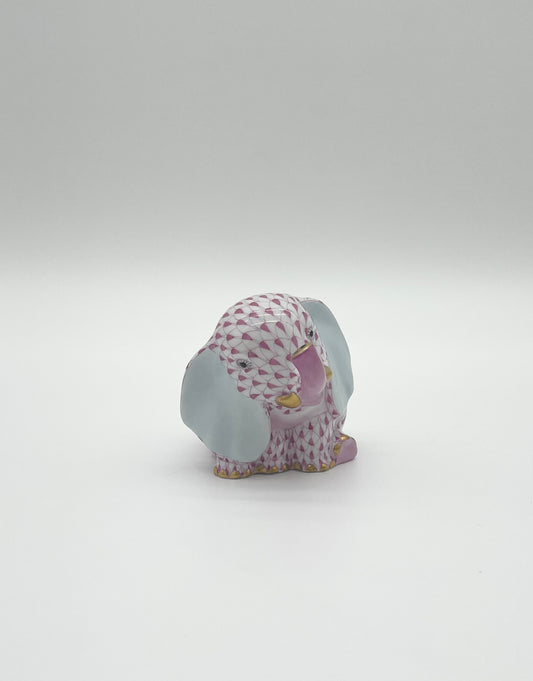 Baby Elephant Sitting Trunk Up Raspberry