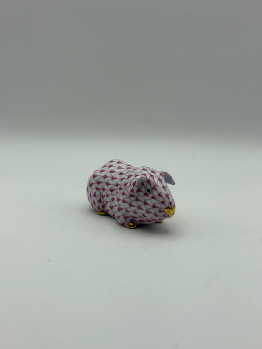 Guinea Pig Raspberry