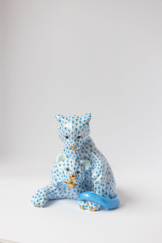 Cub Lions Playing Blue