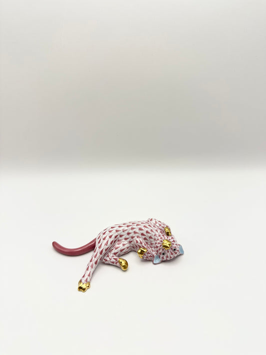 Cat on Back Raspberry