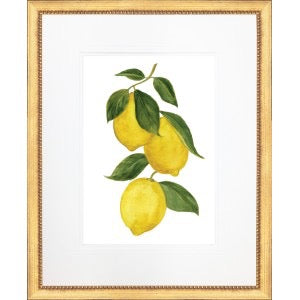 Lemons IV