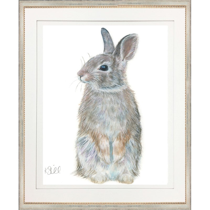 Rabbit 2 - Framed Print By Kate Sherrill