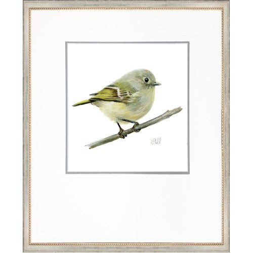 Sitting Bird 3 - Framed Artwork