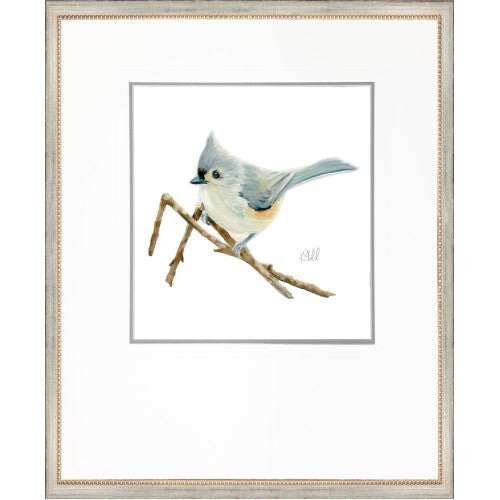 Sitting Bird 4 - Framed Print by Kate Sherrill