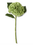 20" Real Touch Hydrangea Stem