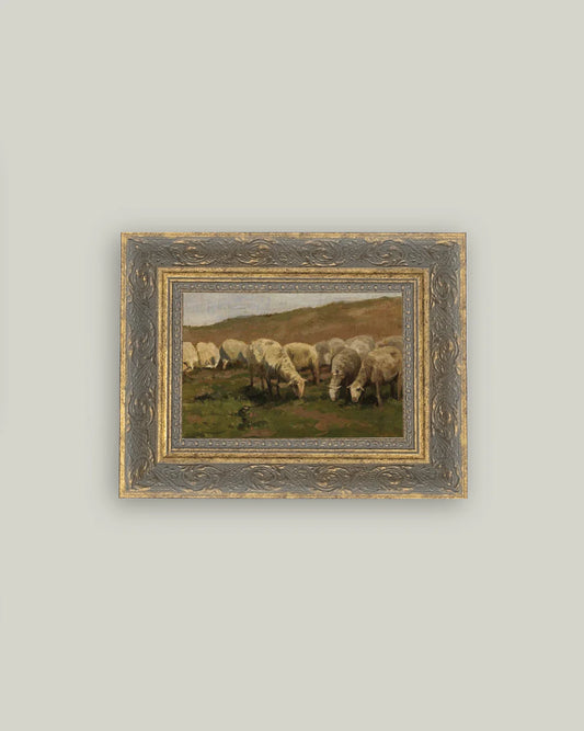 Sheep Landscape 7x5
