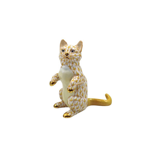 Standing Kitten Butterscotch
