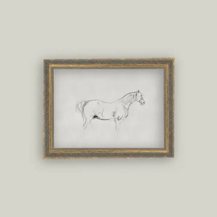 Horse Sketch Art - 12x16