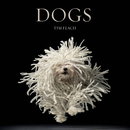 Dogs Hardcover Book
