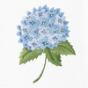 Hydrangea Blue Hand Towel