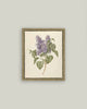 Lilac Branch Framed Antique Art: 5x7