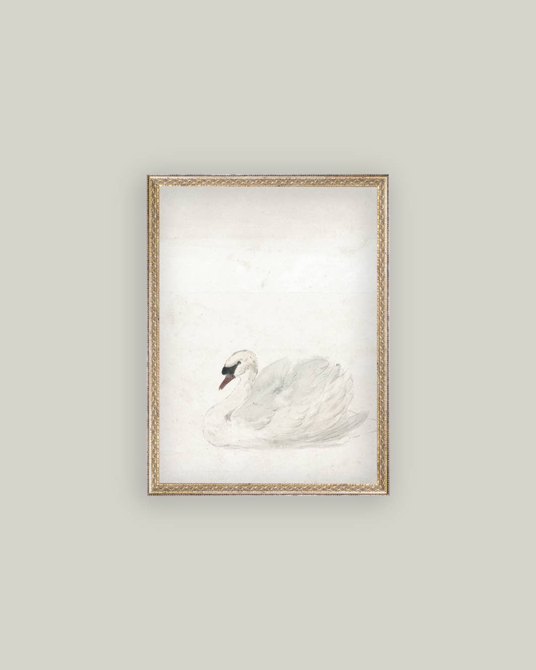 Swan Framed Art