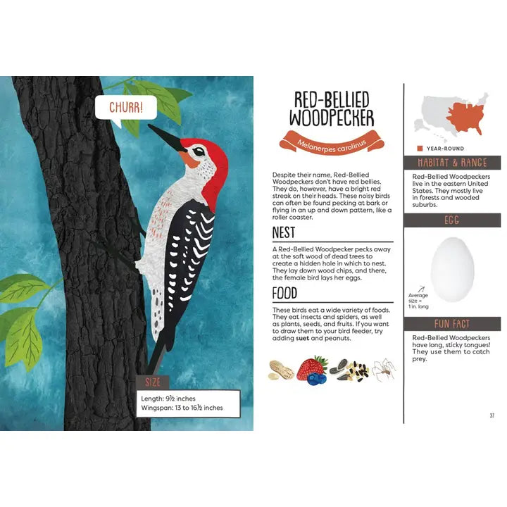 A Kids Guide To Backyard Birds - Book